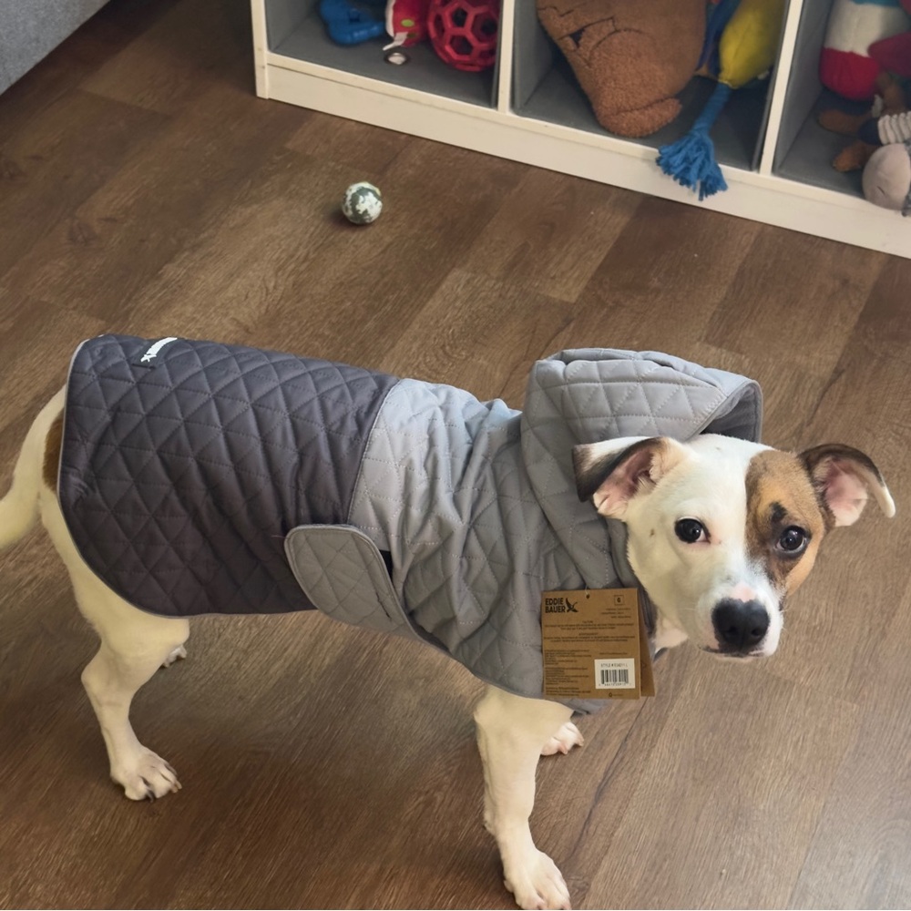 Eddie Bauer Two-Tone Quilted Dog Coat